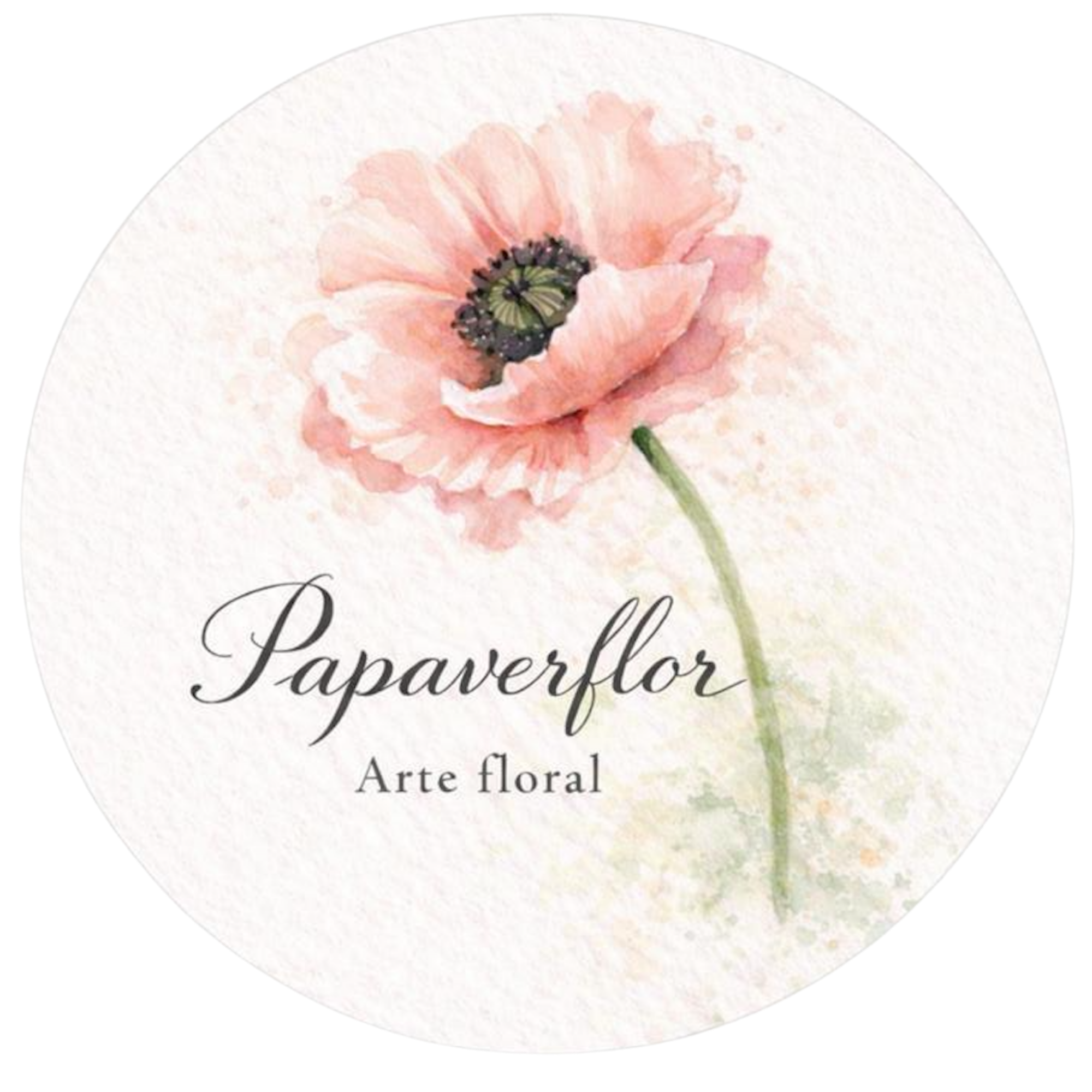 Papaver